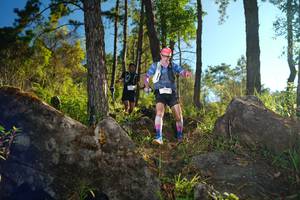 BIB: 
                            <button type="button" onclick="openModal(18933321)" class="btn btn-primary btn-sm float-right btn-popup" data-toggle="modal" data-target=".modal-high-quality">
                        <i class="fas fa-shopping-cart"></i> Add to Cart
                    </button>
                                            <button type="button" onclick="isThisMe(18933321, true)" class="btn btn-success btn-sm float-right btn-popup btn-isme hidden" data-toggle="tooltip" data-placement="bottom" title="นี่คือรูปของคุณใช่ไหม คลิกที่นี่เพื่อเอาเข้าอัลบั้ม">
                        <i class="fas fa-plus"></i> Add to album
                    </button>
                    <button type="button" onclick="isThisMe(18933321, false)" class="btn btn-warning btn-sm float-right btn-popup btn-isnotme hidden">
                        <i class="fas fa-ban"></i> Remove from album
                    </button>